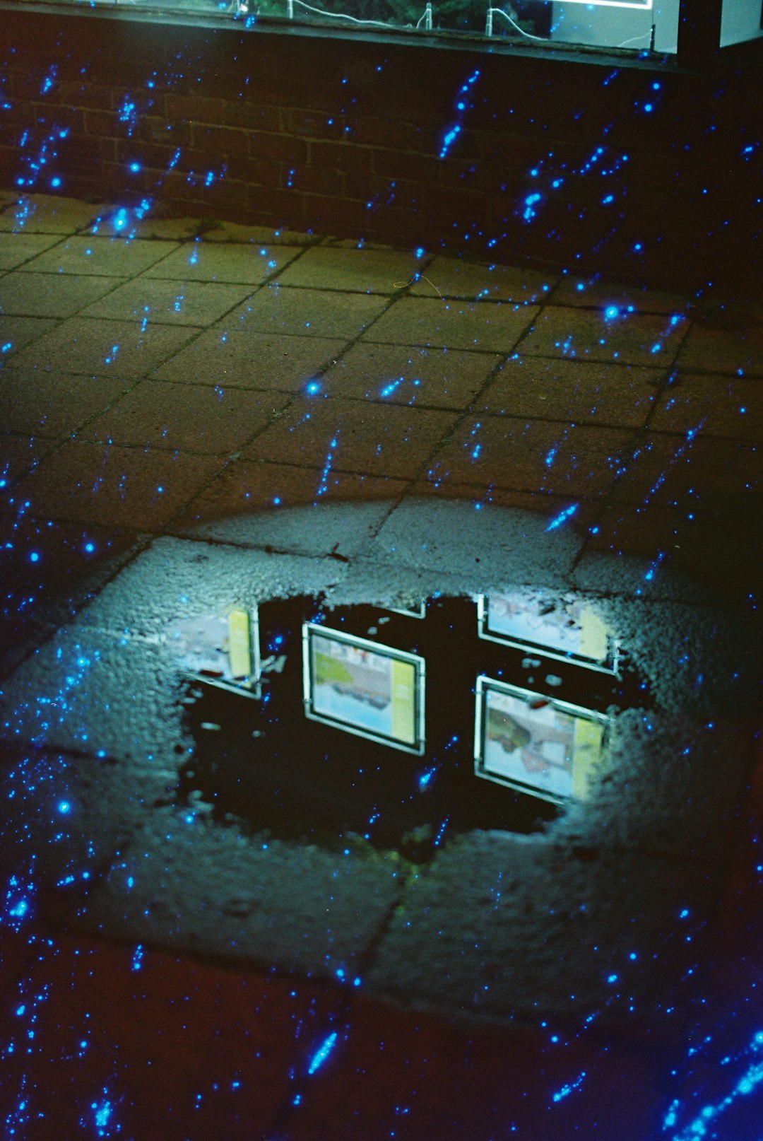 Consequatur rerum voluptatem vel.