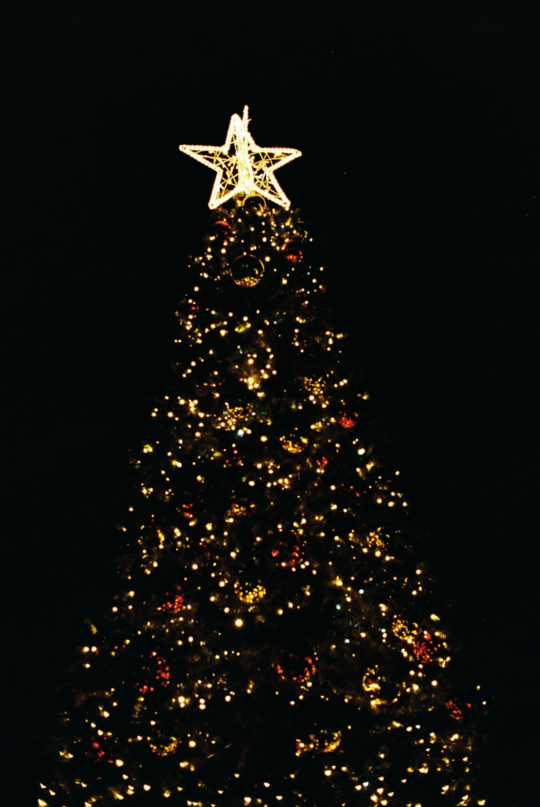 Doloremque blanditiis dolor.