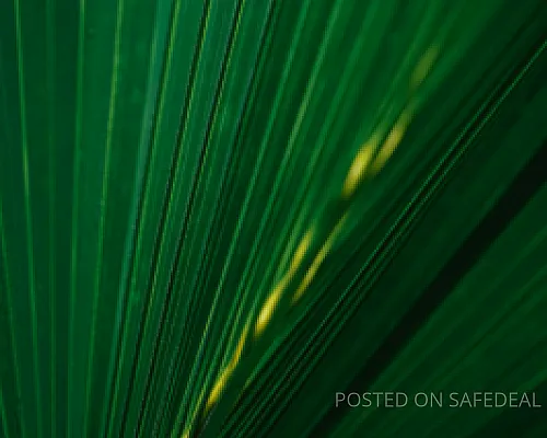 Et adipisci facere voluptatem.