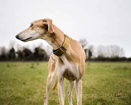 Doloremque explicabo pariatur sapiente.
